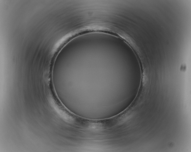 X0000114640438200910201446
