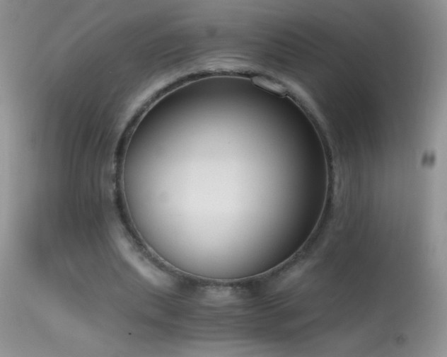 X0000114640439200910201446