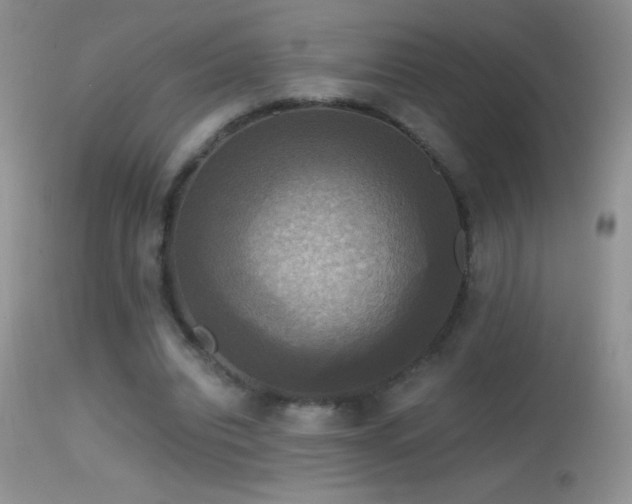 X0000114640440200910201446