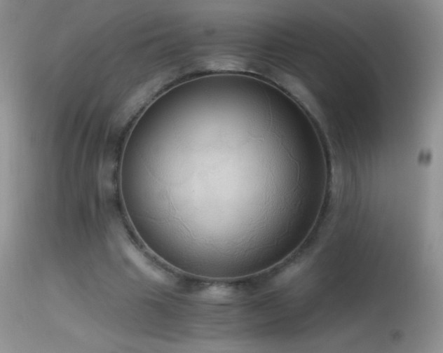 X0000114640441200910201446