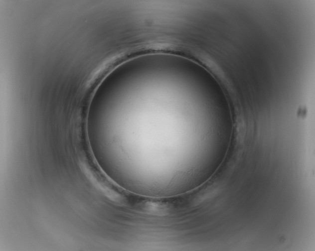 X0000114640442200910201446