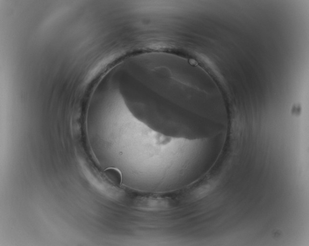 X0000114640443200910201446