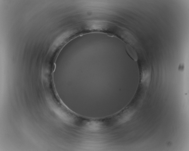 X0000114640444200910201446