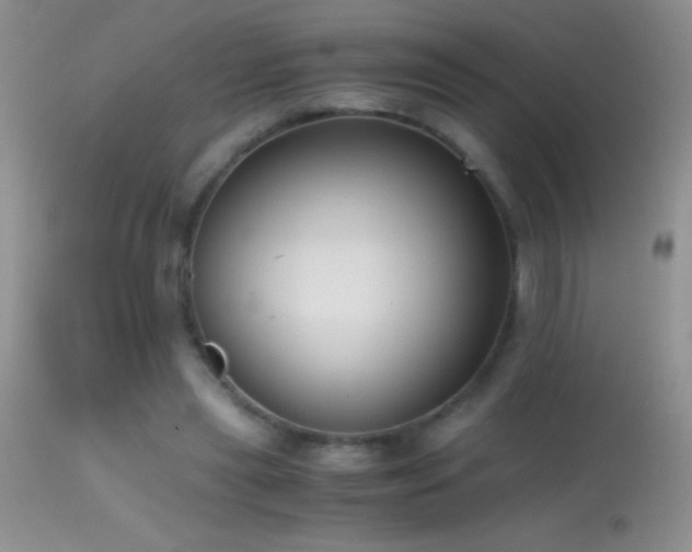 X0000114640445200910201446