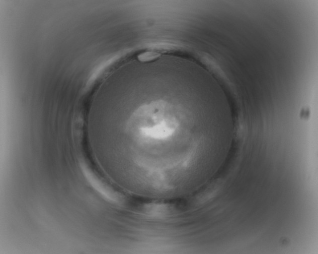 X0000114640448200910201446