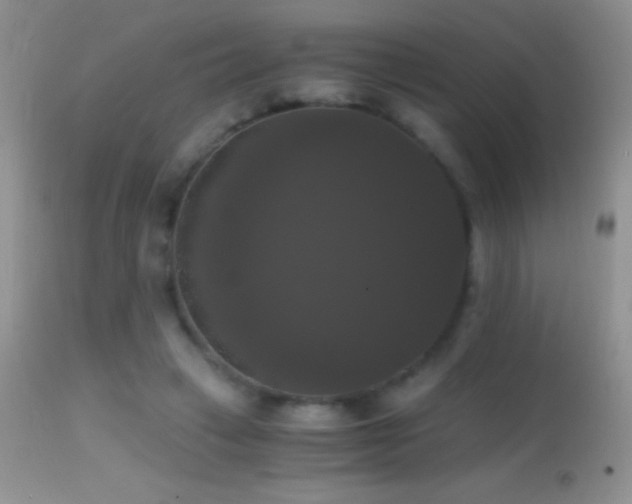 X0000114640449200910201446