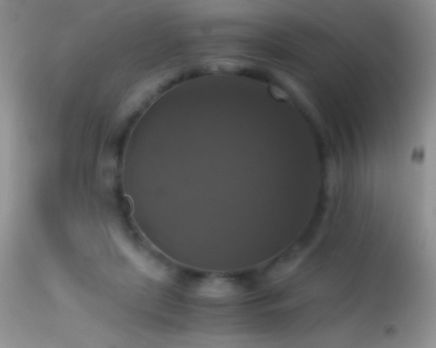 X0000114640451200910201446