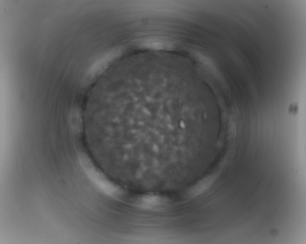 X0000114640453200910201446
