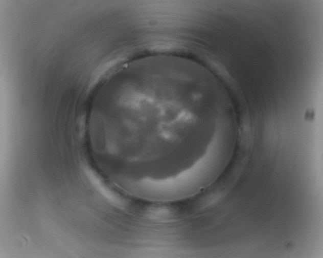 X0000114640454200910201446