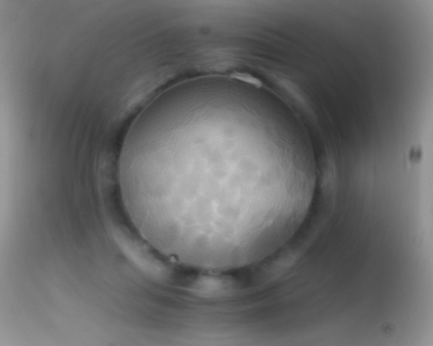 X0000114640455200910201446