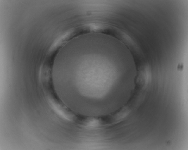 X0000114640456200910201446