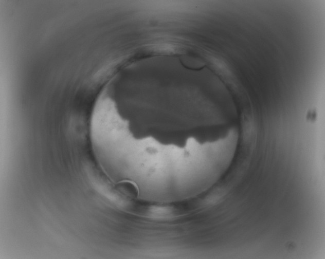 X0000114640457200910201446