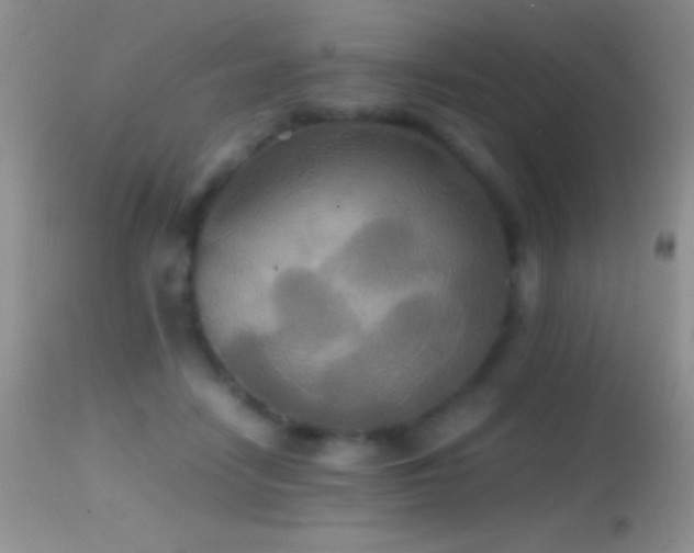 X0000114640458200910201446