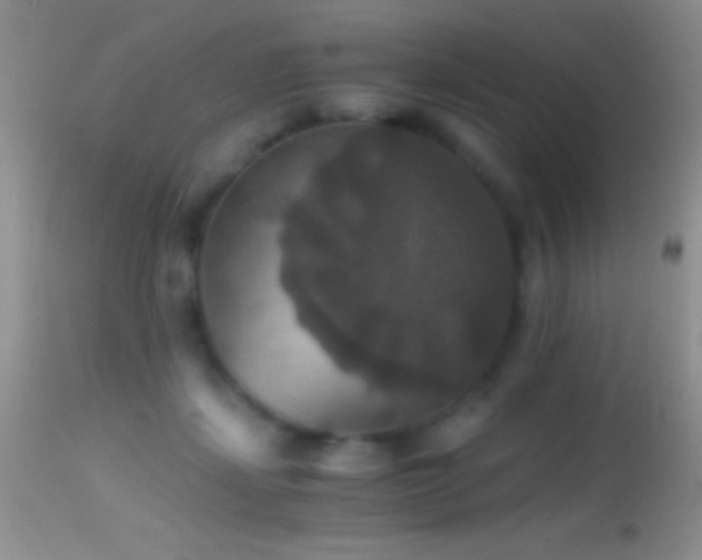 X0000114640459200910201446