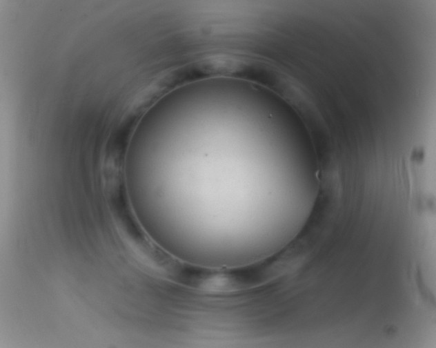 X0000114640460200910201446