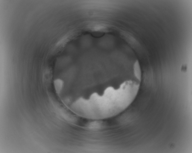 X0000114640461200910201446