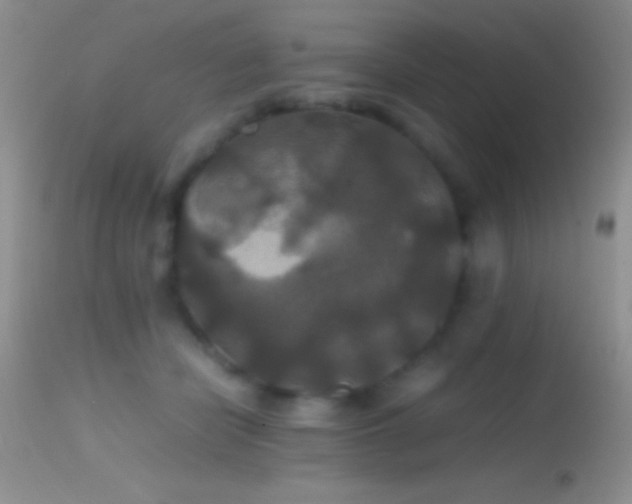 X0000114640462200910201446