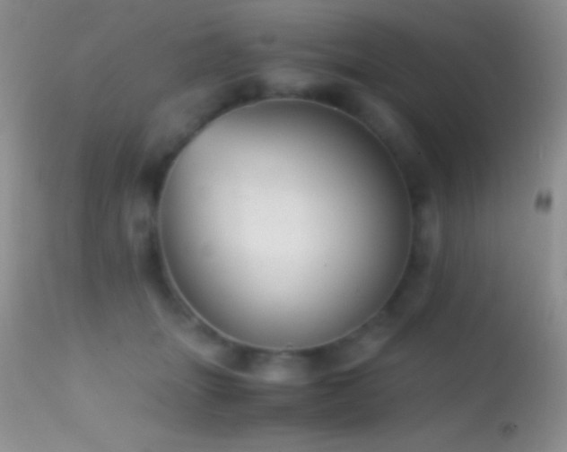 X0000114640463200910201446