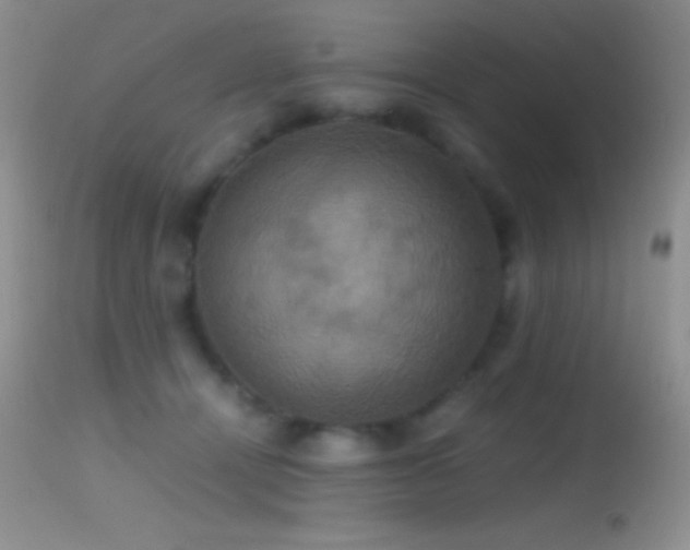 X0000114640464200910201446