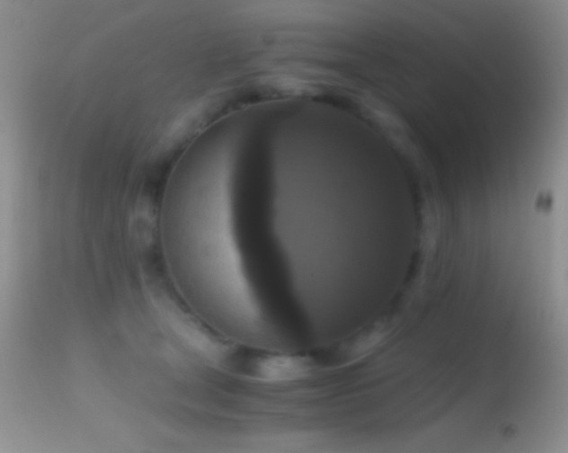 X0000114640465200910201446