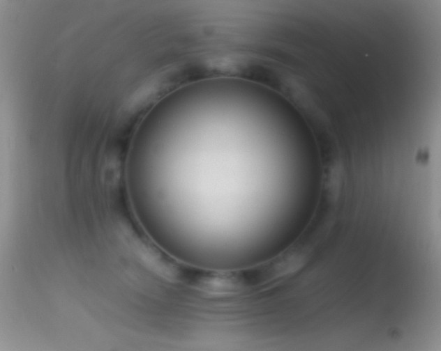 X0000114640466200910201446
