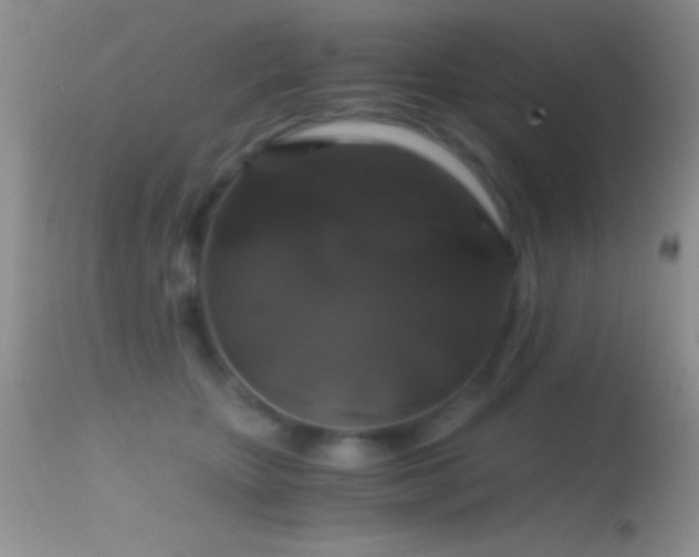 X0000114640467200910201446