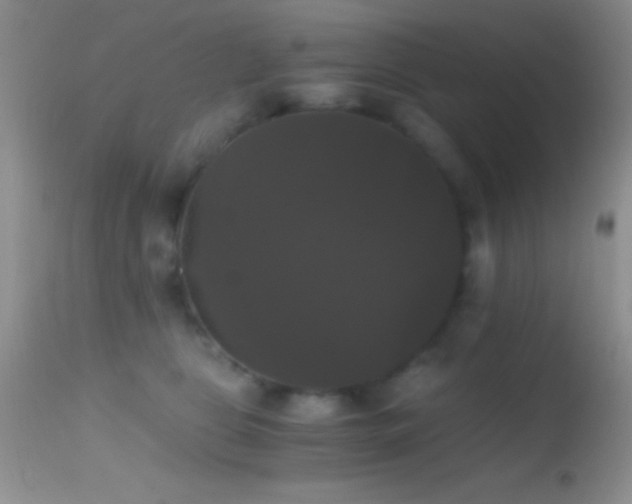 X0000114640469200910201446