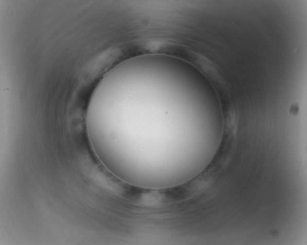 X0000114640470200910201446