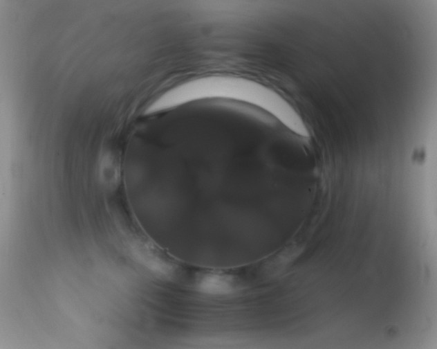 X0000114640471200910201446