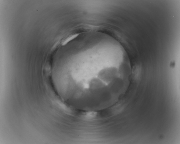X0000114640474200910201447