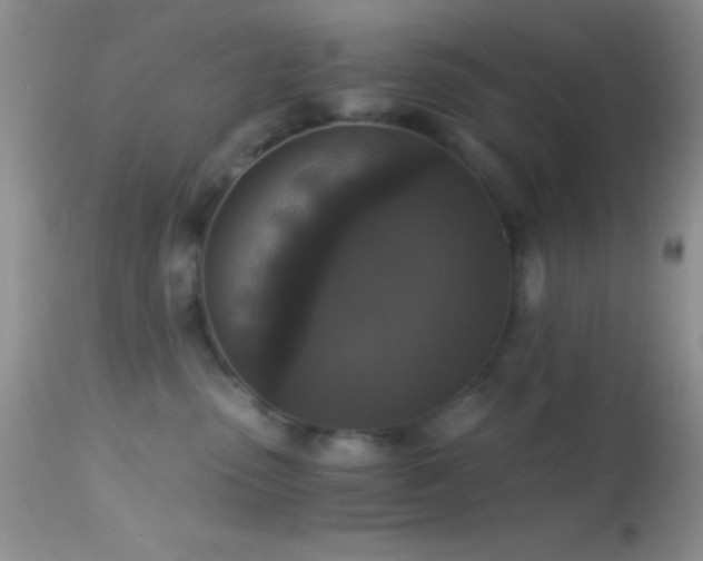 X0000114640475200910201447