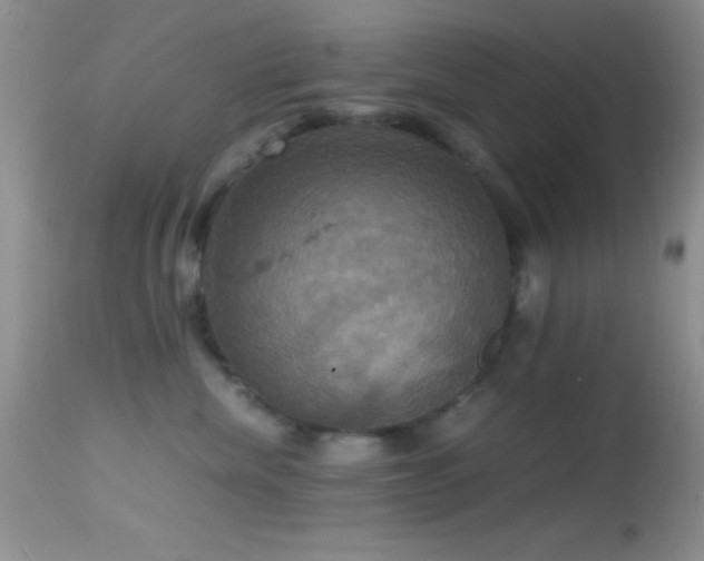 X0000114640476200910201447