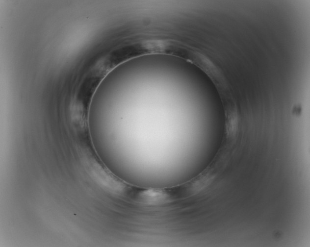 X0000114640477200910201447