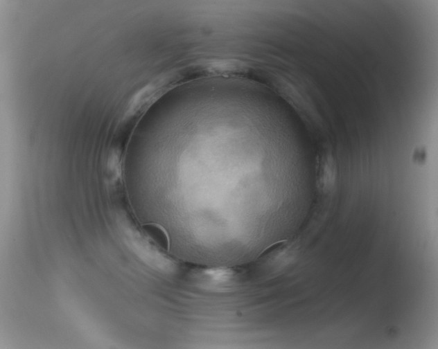 X0000114640478200910201447