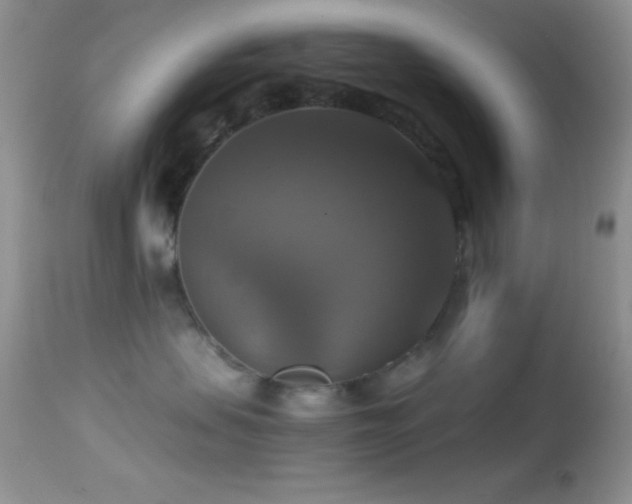 X0000114640479200910201447