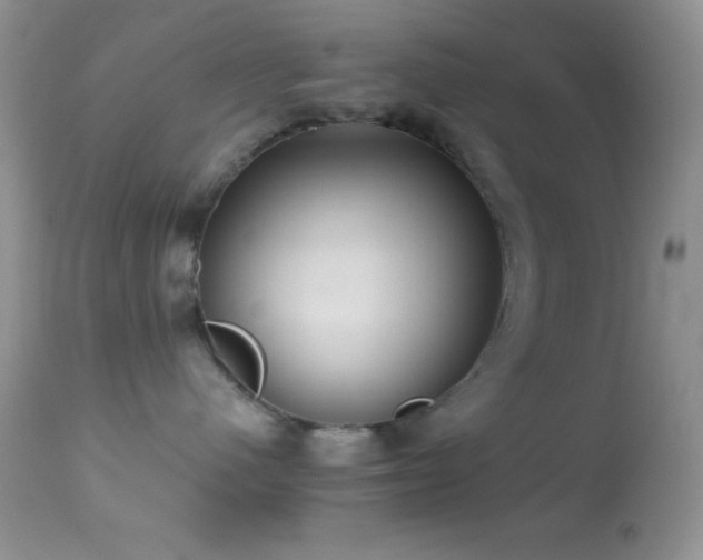 X0000114640480200910201447