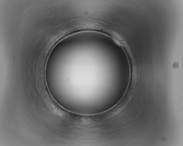 X0000114640481200910201446