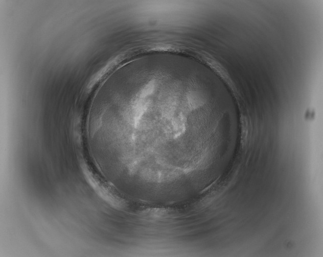 X0000114640482200910201446