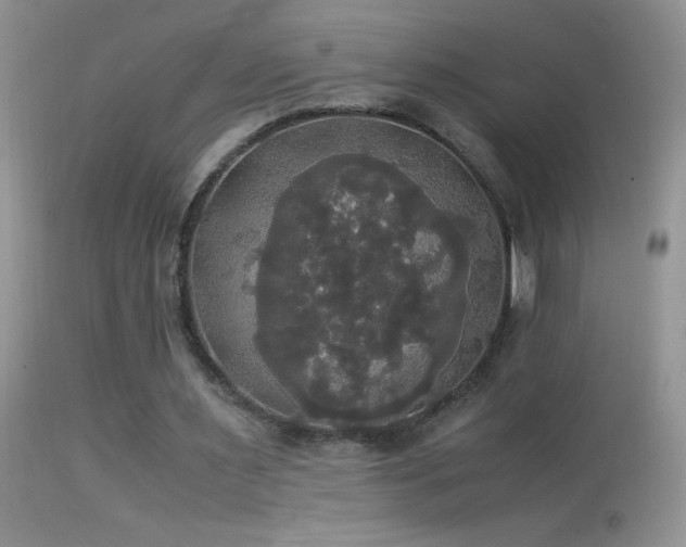 X0000114640483200910201446