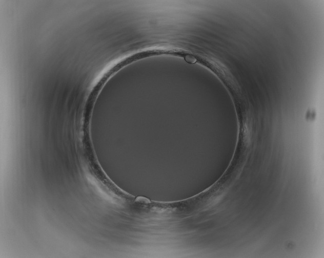 X0000114640484200910201446