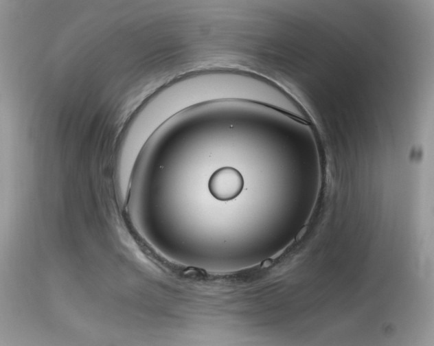 X0000114640485200910201446