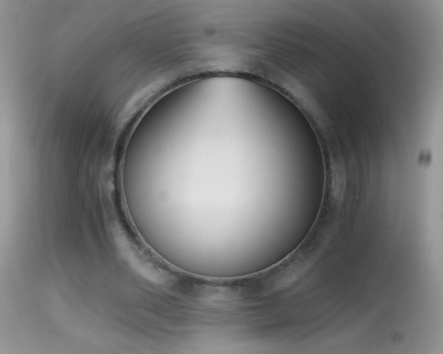 X0000114640486200910201446