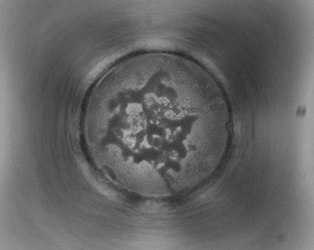 X0000114640487200910201446
