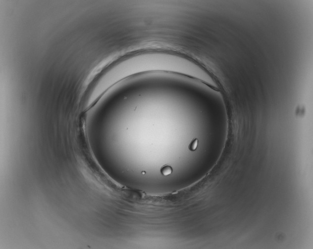 X0000114640488200910201446