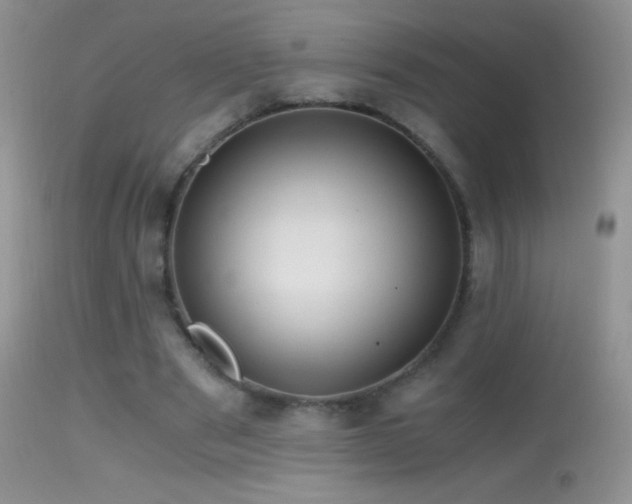 X0000114640489200910201446