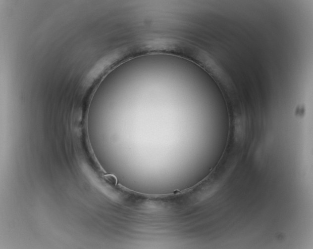 X0000114640490200910201446