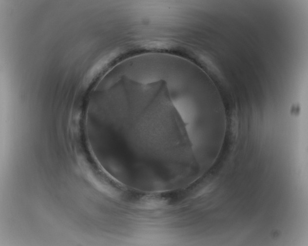 X0000114640491200910201446