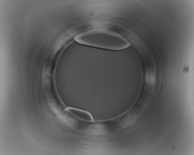 X0000114640492200910201446