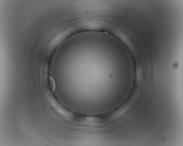 X0000114640493200910201446