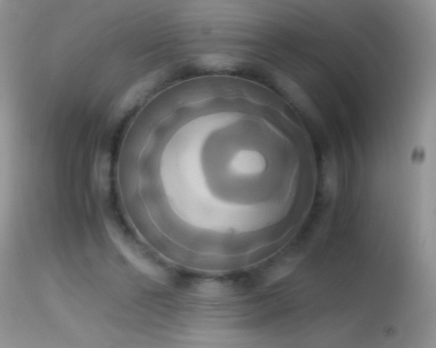 X0000114640494200910201446